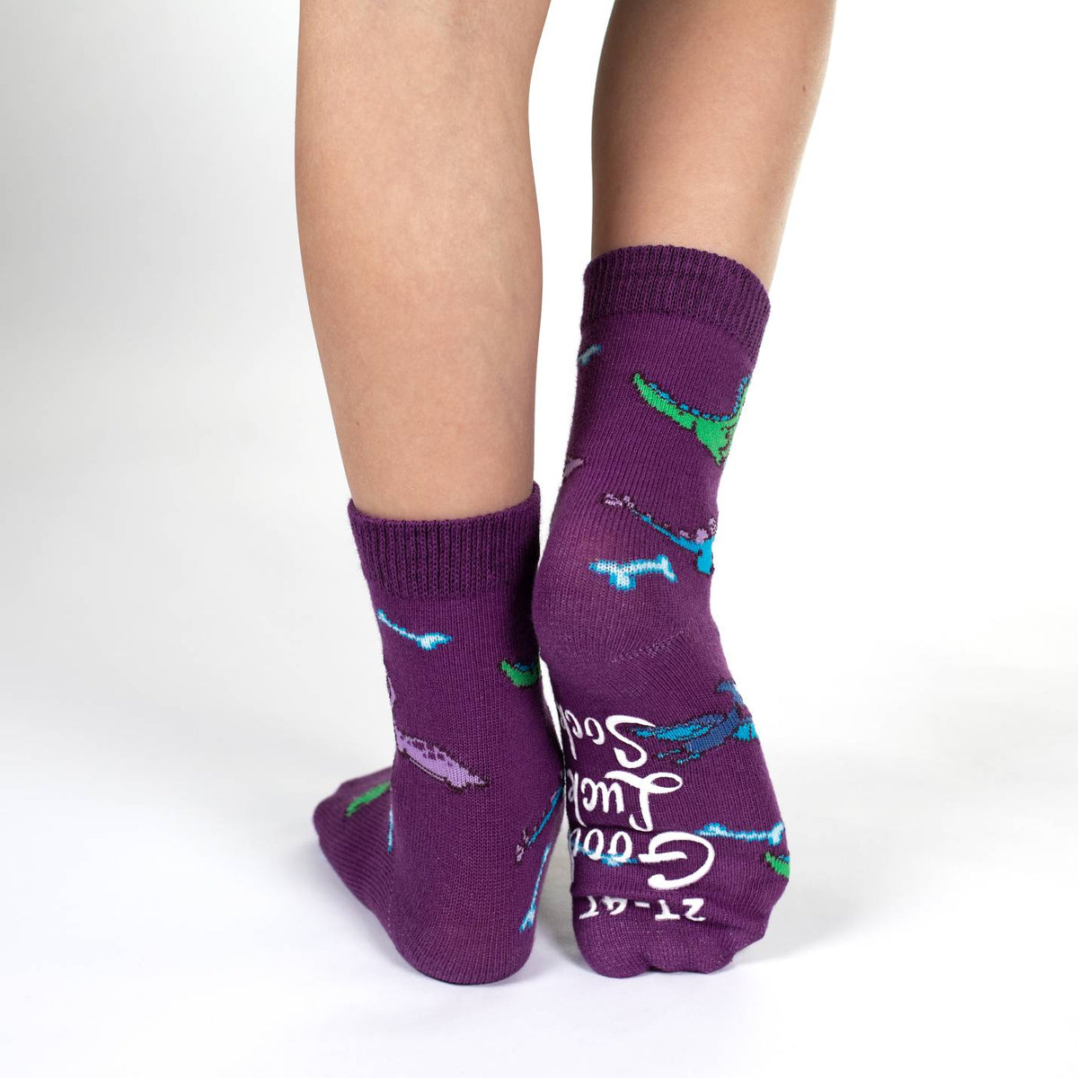Hippopotamus, Crocodiles and Dinosaurs Kids Socks