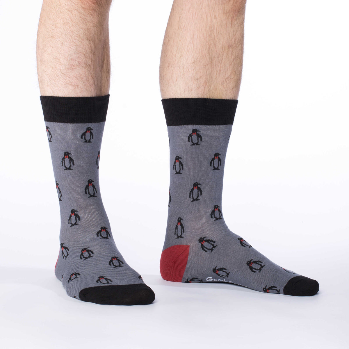 Men's Big & Tall Penguin Socks
