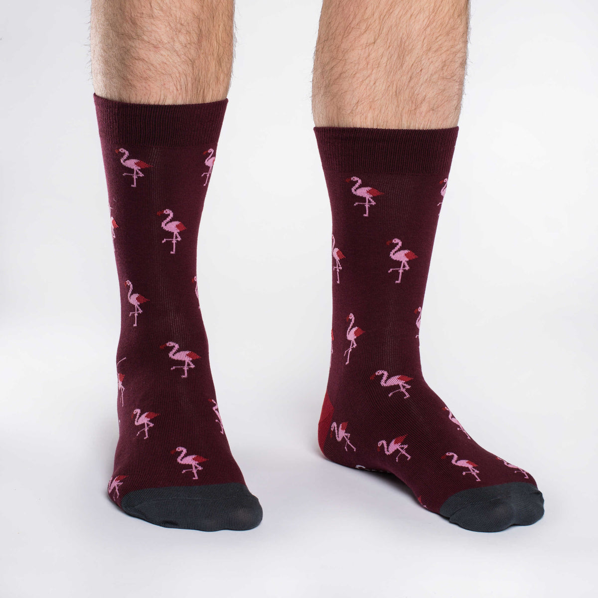 Men's Pink Flamingo Party Socks