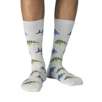 Men's Big & Tall School Of Fish Socks
