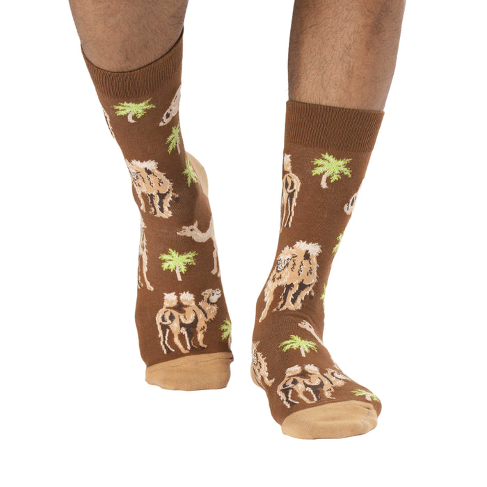 Men's Camel Socks