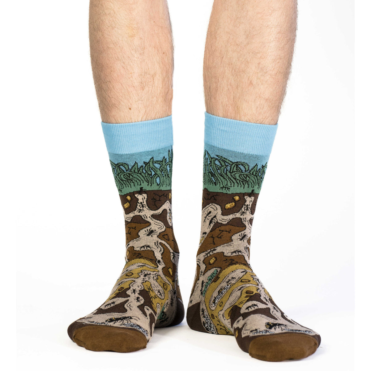 Men's Ant Colony Socks