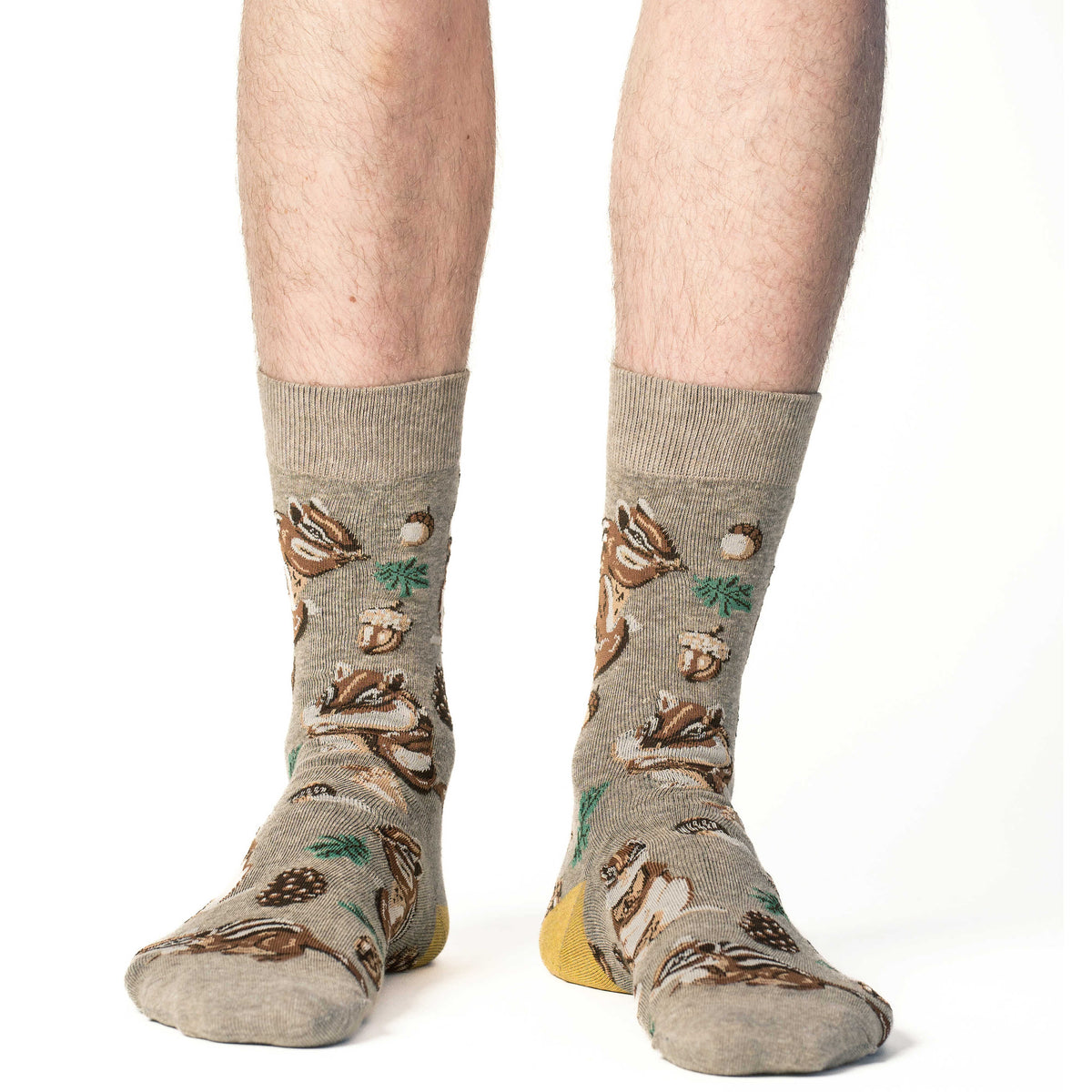 Men's Chipmunks Socks