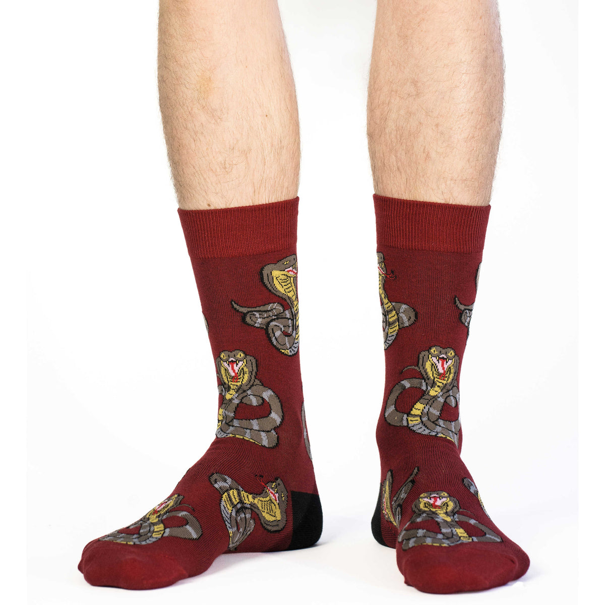 Men's King Cobras Socks