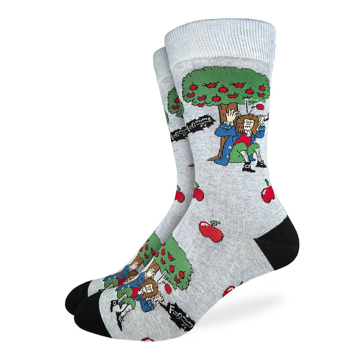 Men's Isaac Newton Socks