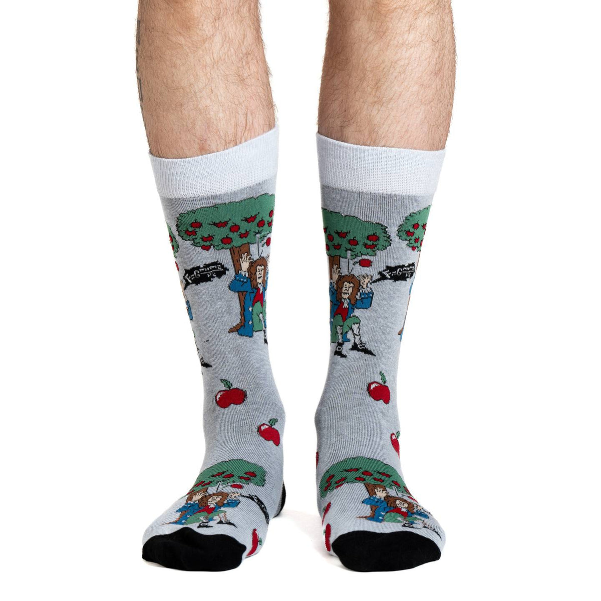 Men's Isaac Newton Socks