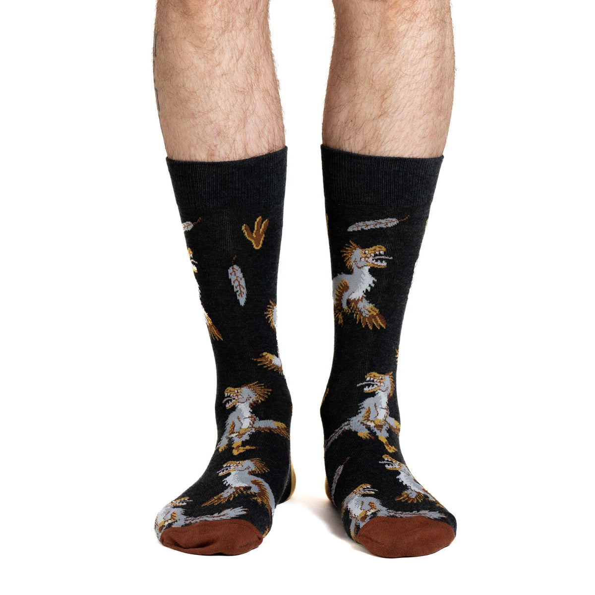 Men's Velociraptors Socks