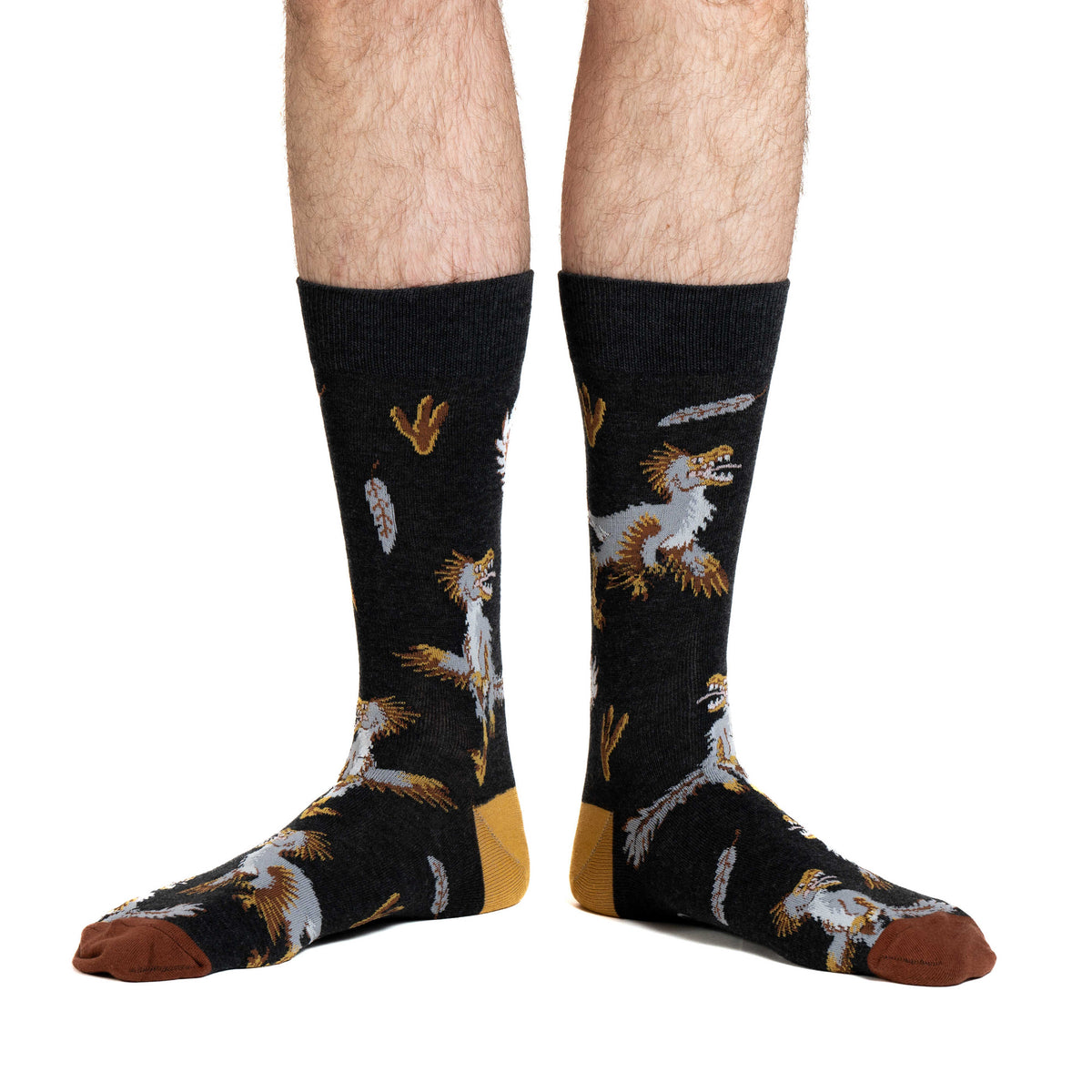 Men's Velociraptors Socks