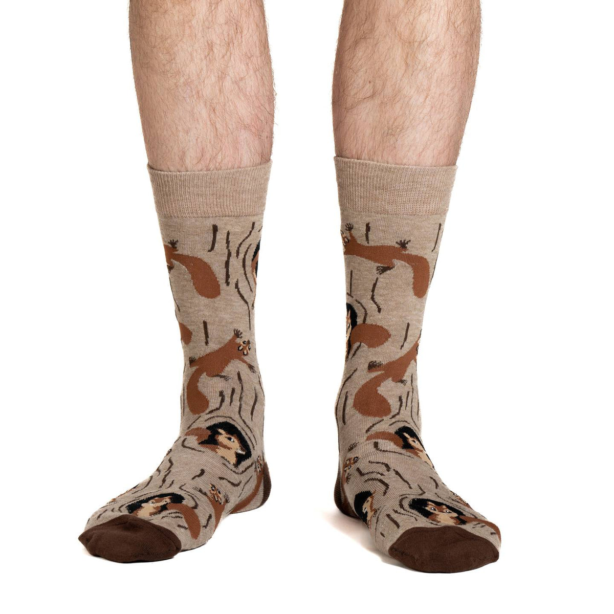 Men's Squirrels in Tree Socks