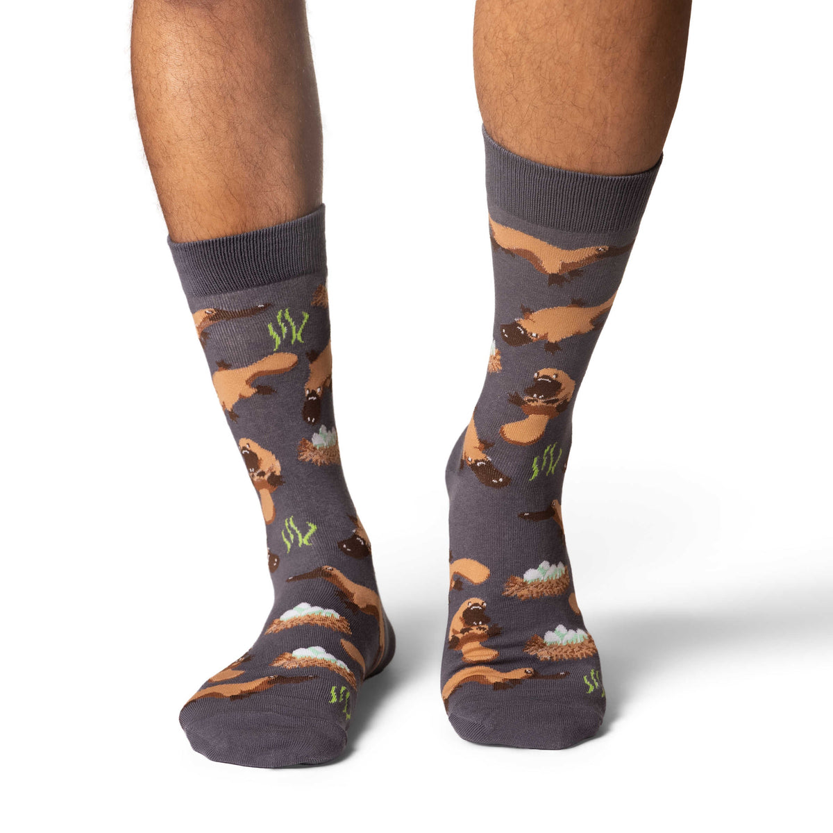 Men's Platypus Socks