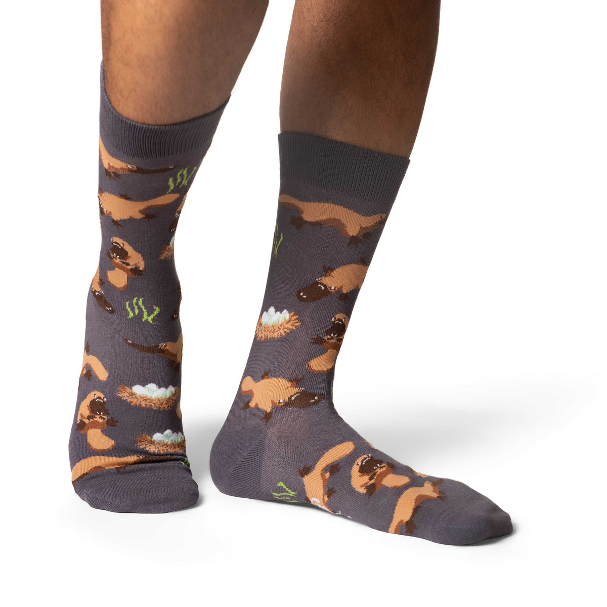 Men's Platypus Socks