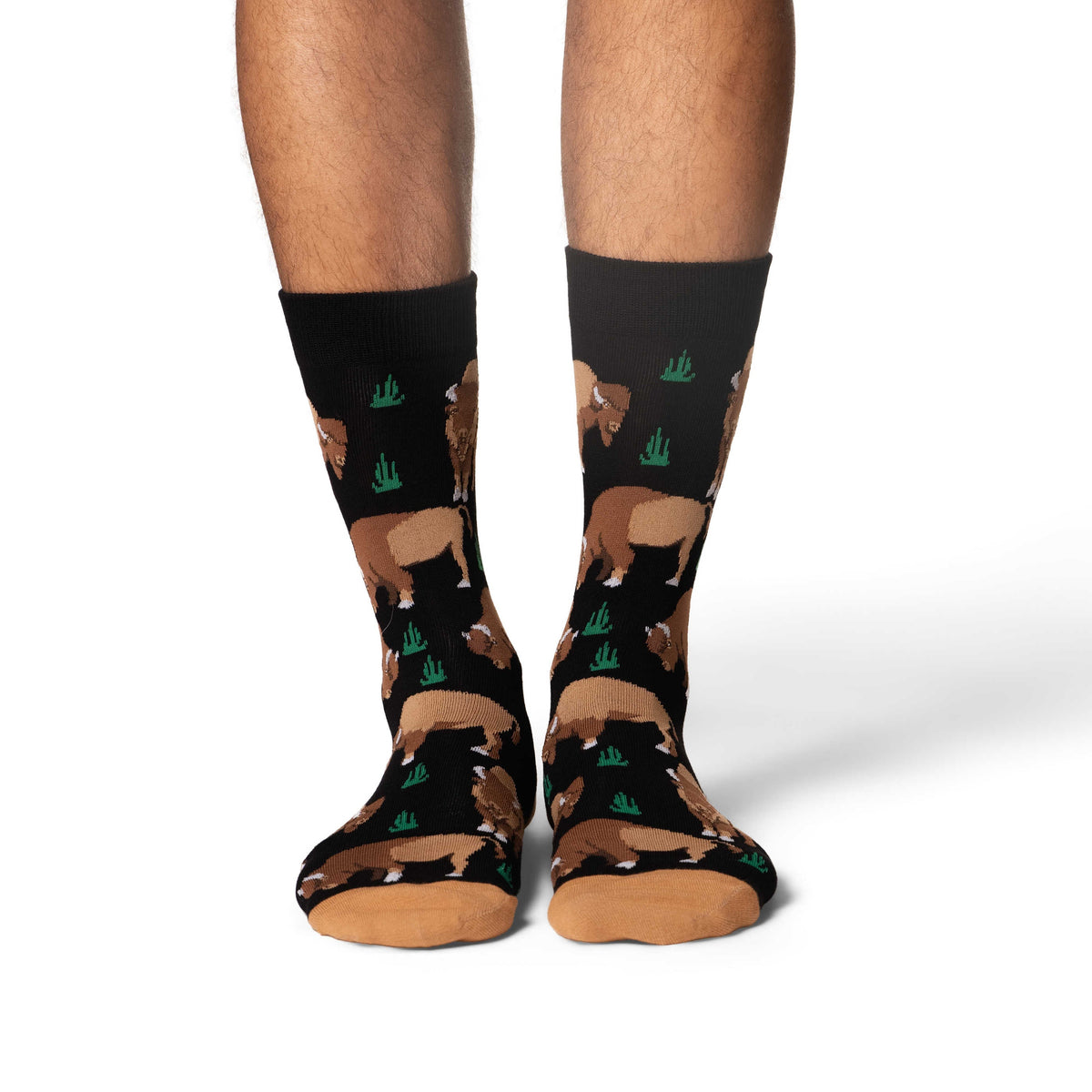 Bison Socks Men's Bison Socks – Good Luck Sock