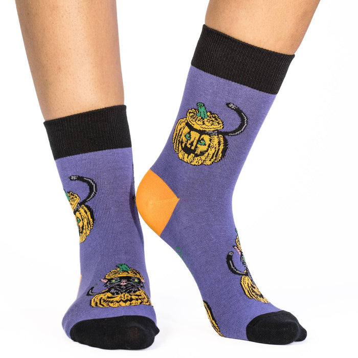 Women's Black Cats Hiding in Pumpkins Halloween Socks