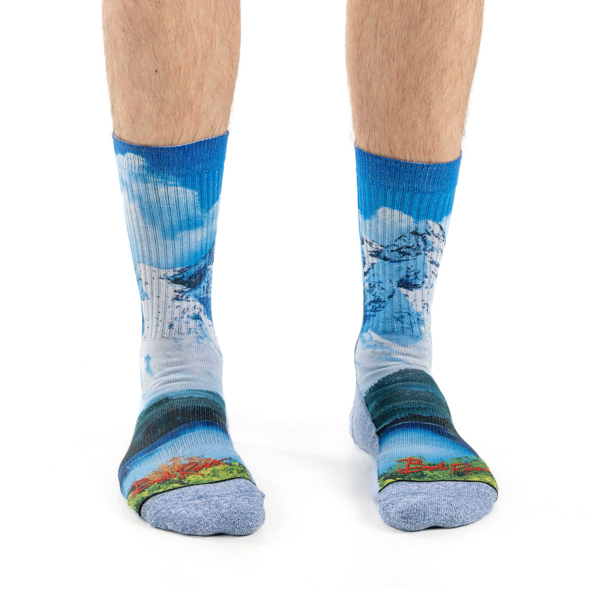 Men's Bob Ross, Mountain & Lake Socks