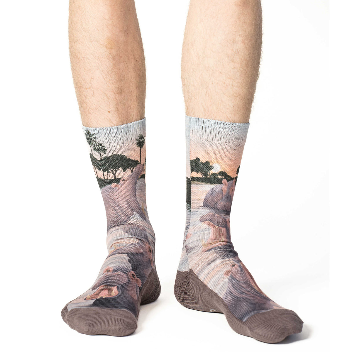 Men's Bloat of Hippopotamus Socks