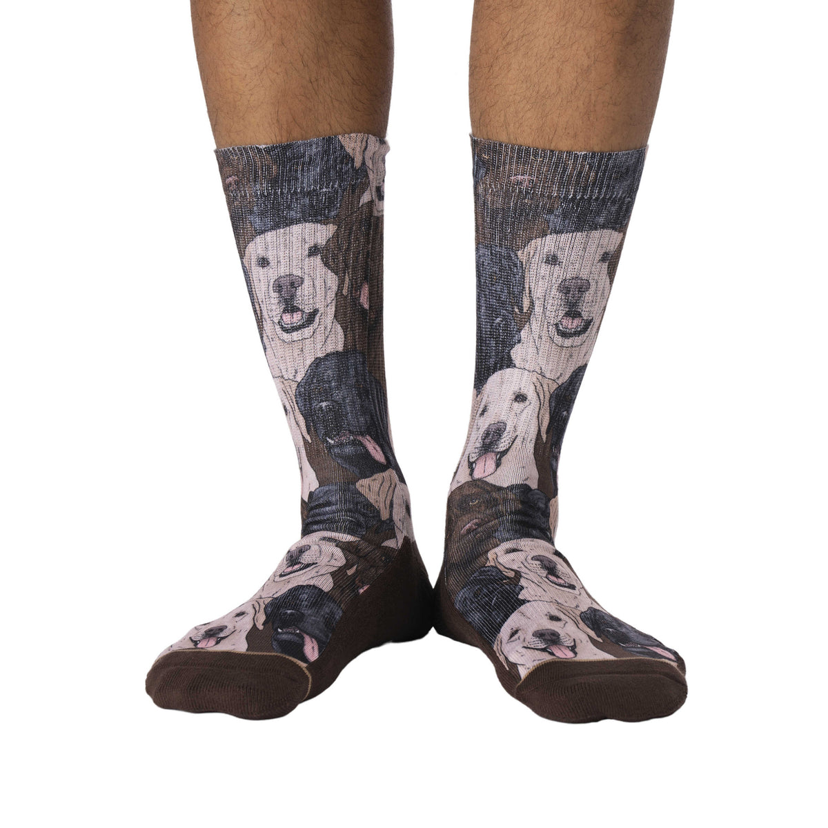 Men's Labrador Retrievers Socks