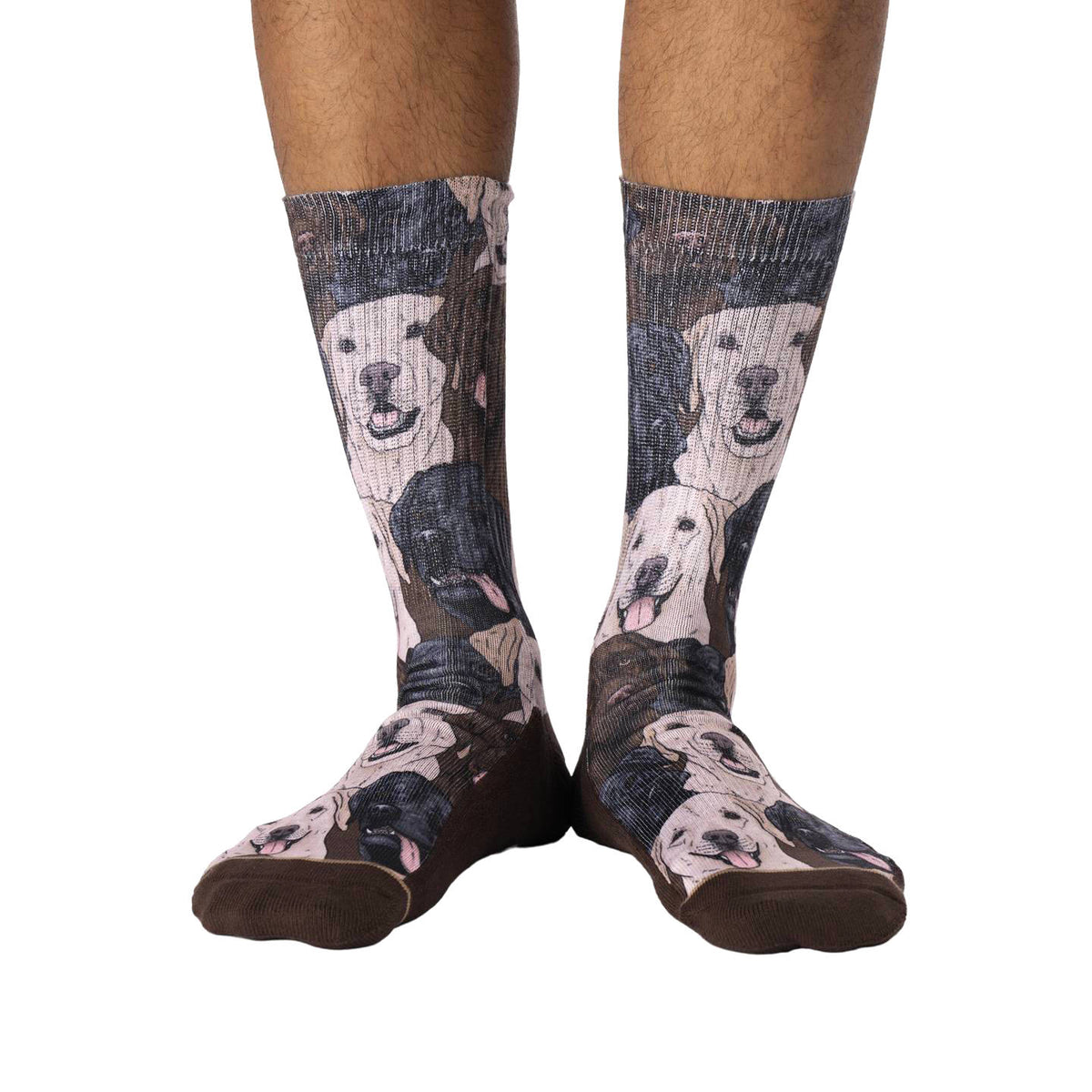 Men's Labrador Retrievers Socks