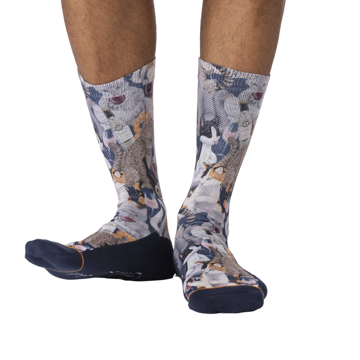 Men's Wine & Cats Socks