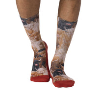 Men's Highland Cows Socks