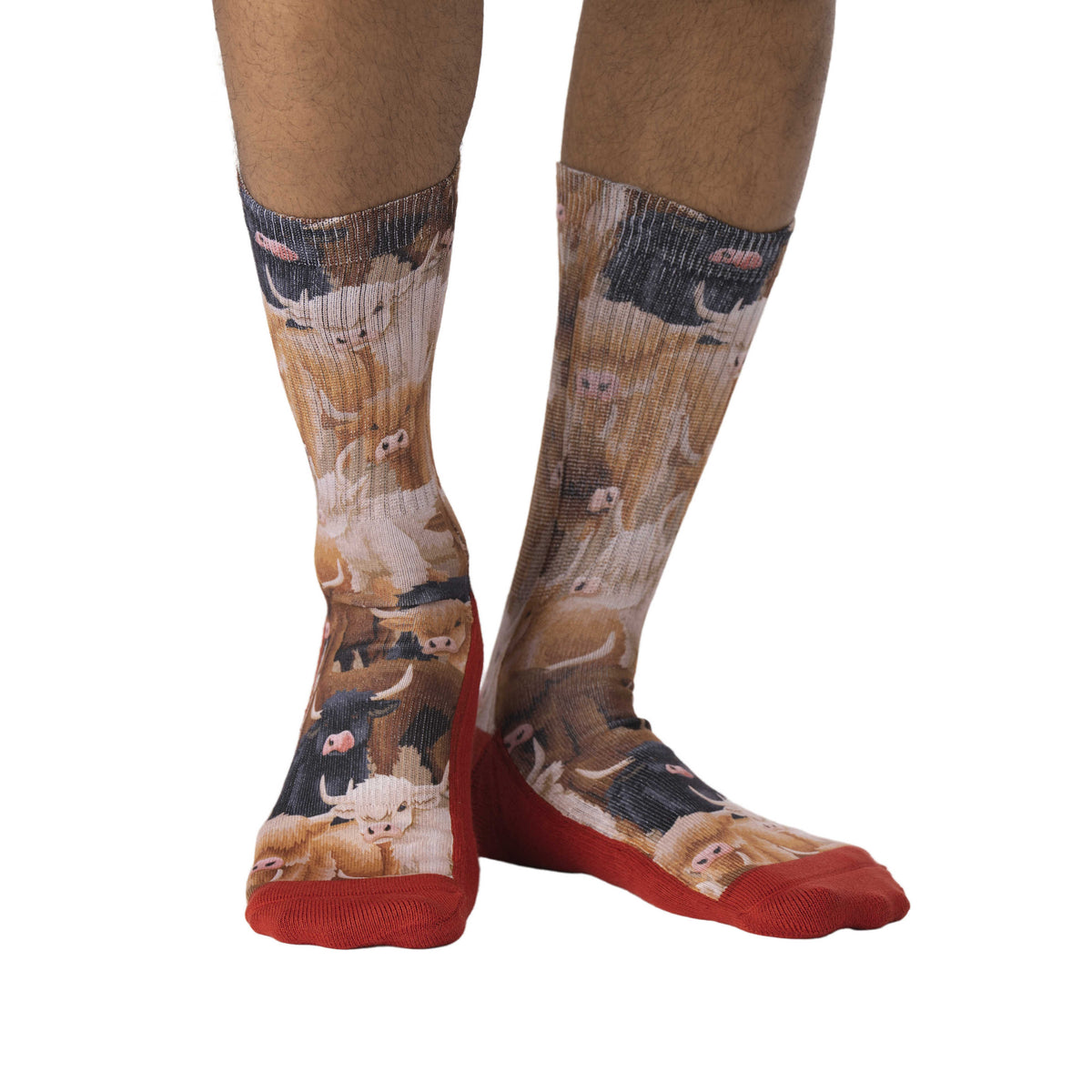 Men's Highland Cows Socks