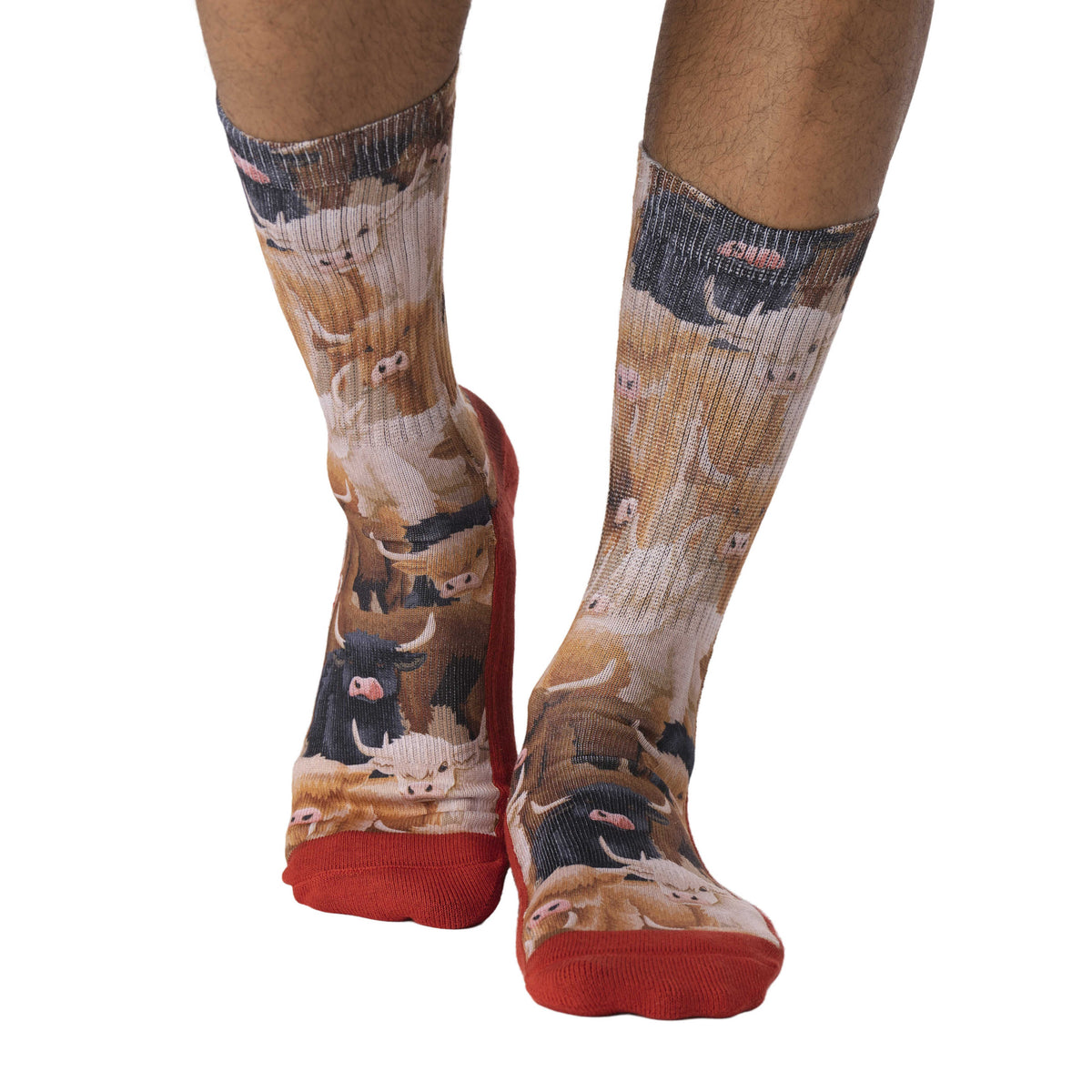 Men's Highland Cows Socks