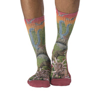 Men's Dinosaurs Roaming the Forest Socks