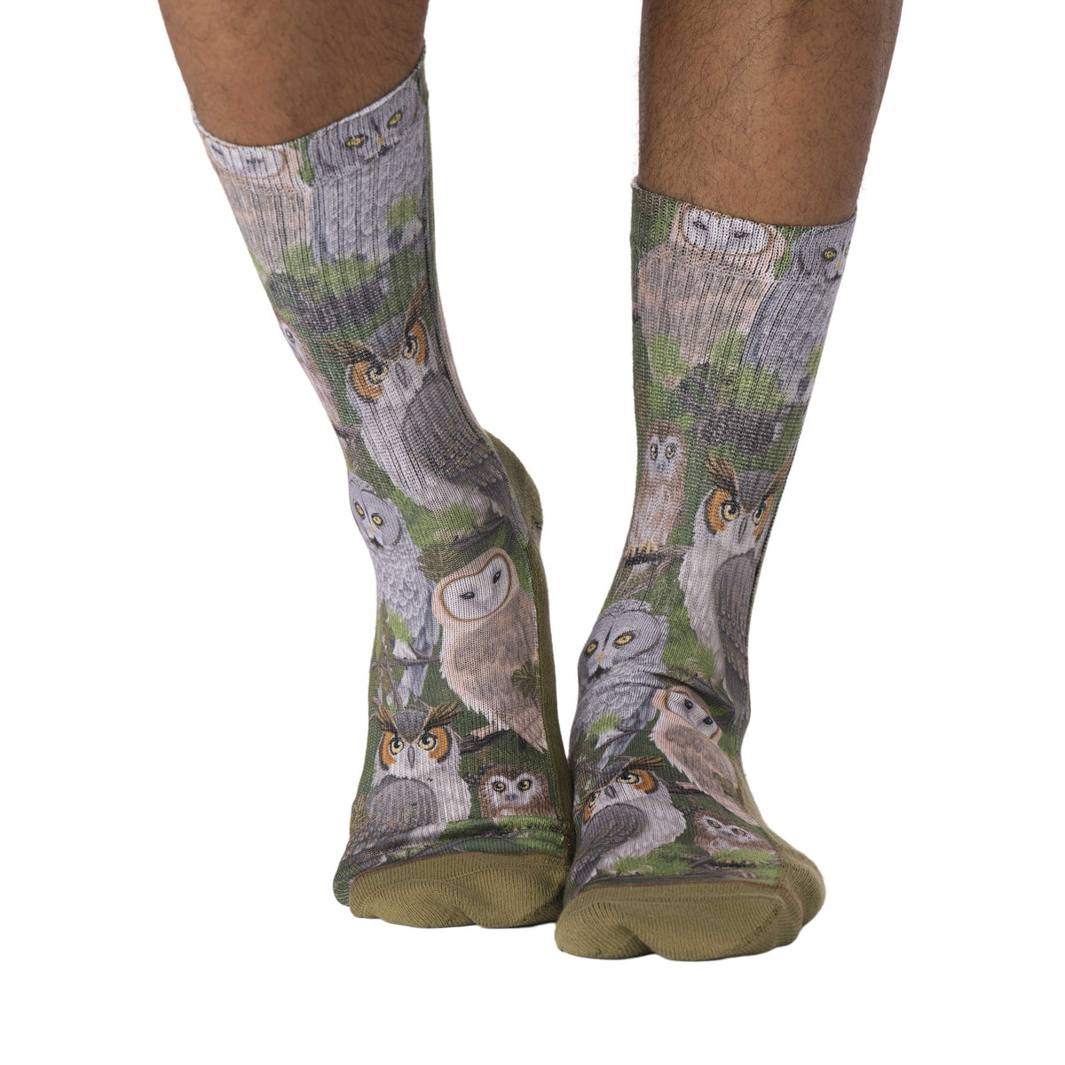 Men's Staring Owls Socks