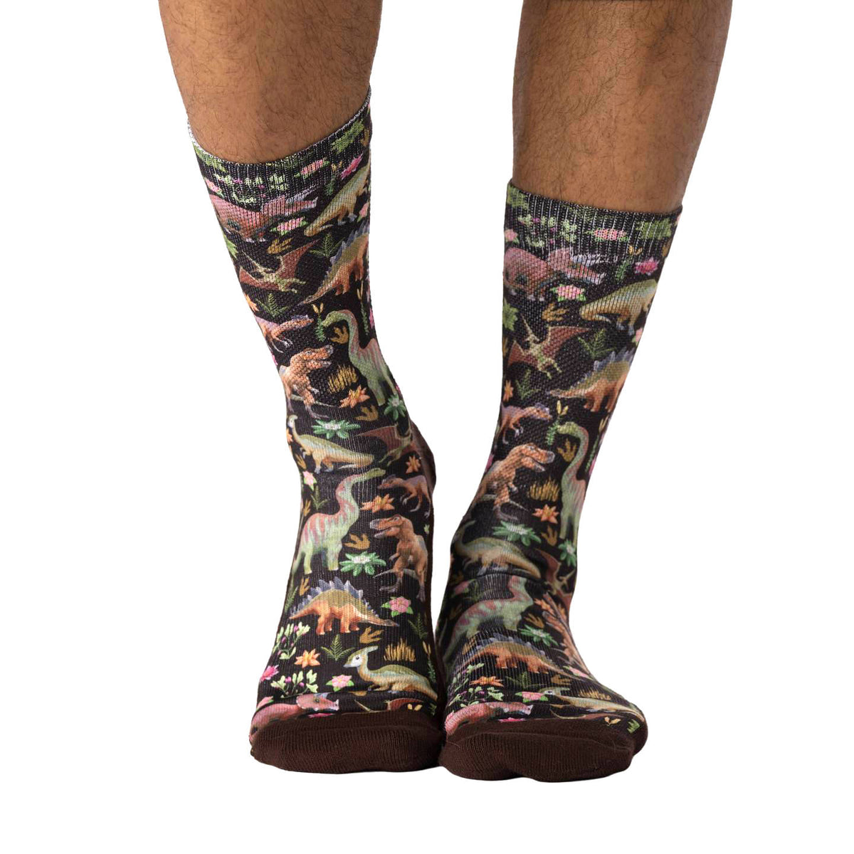 Men's Floral Dinosaurs Socks