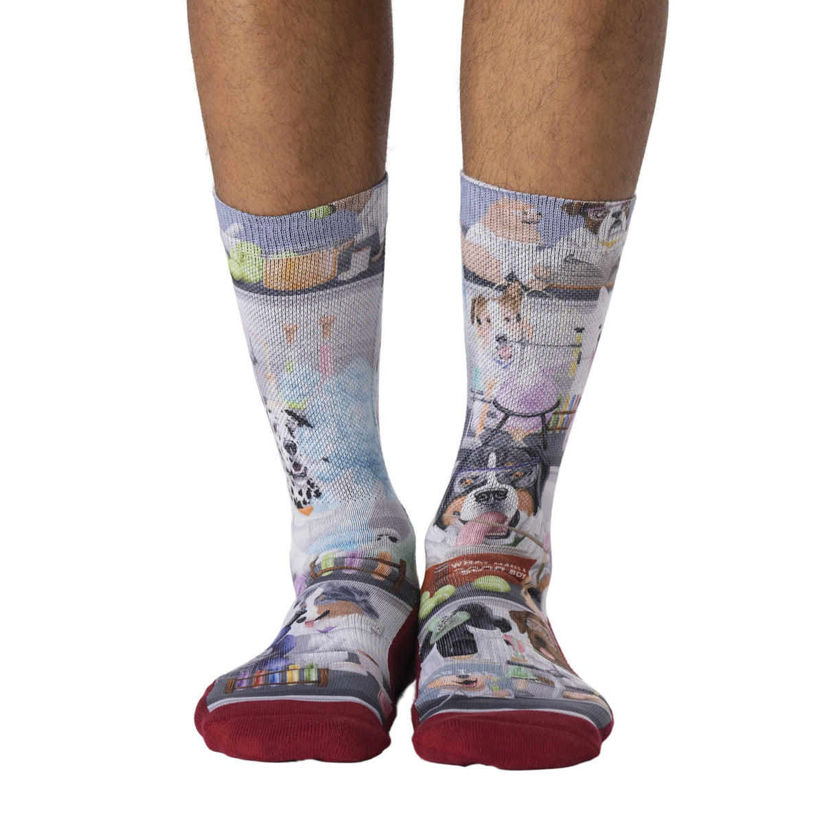 Men's Science Dogs Socks