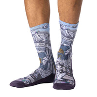 Men's Pigeons at the Public Library Socks