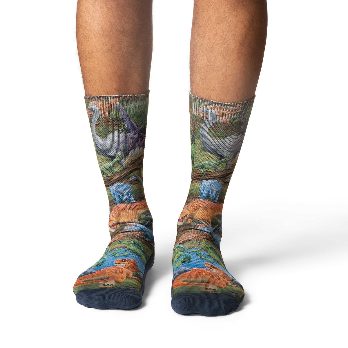 Men's Dinosaur World Socks