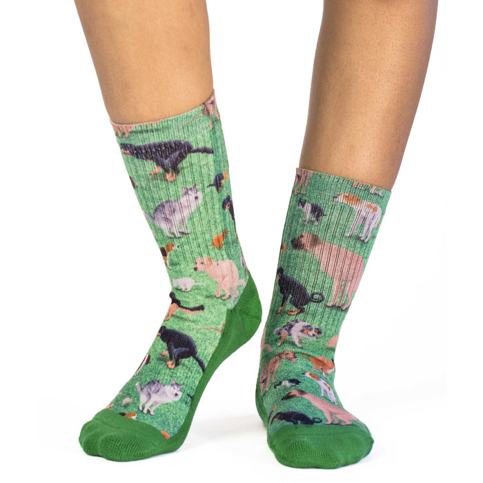 Women's Dogs Pooping Socks
