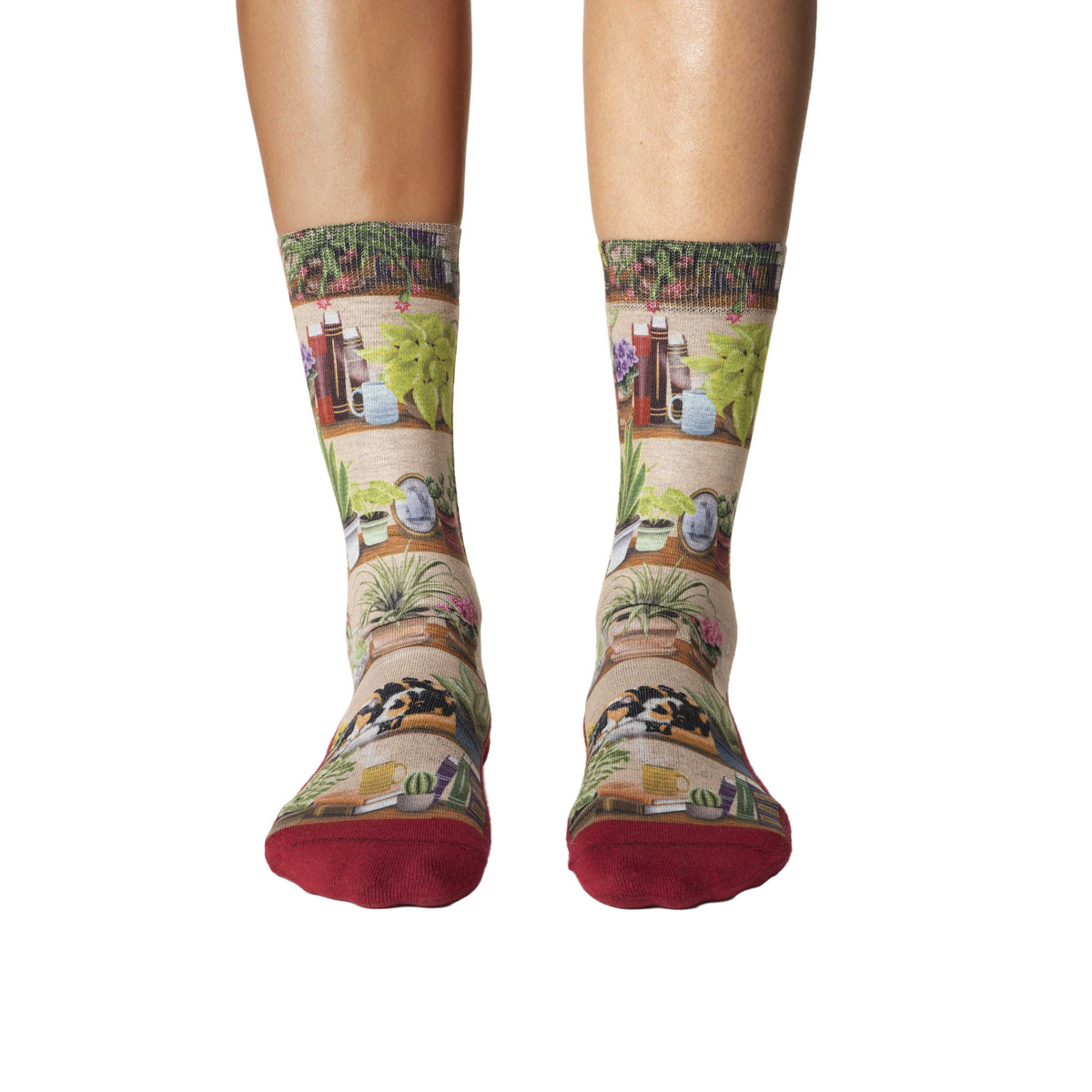 Women's Bookshelf of Plants Socks