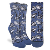 Women's Great White Sharks Socks