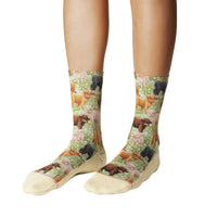 Women's Highland Cows Socks