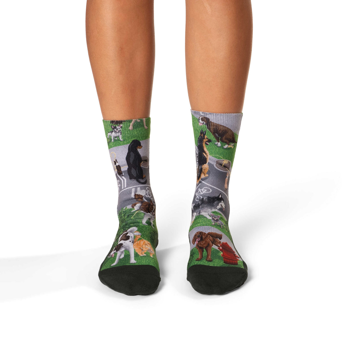 Women's Dogs Peeing Socks