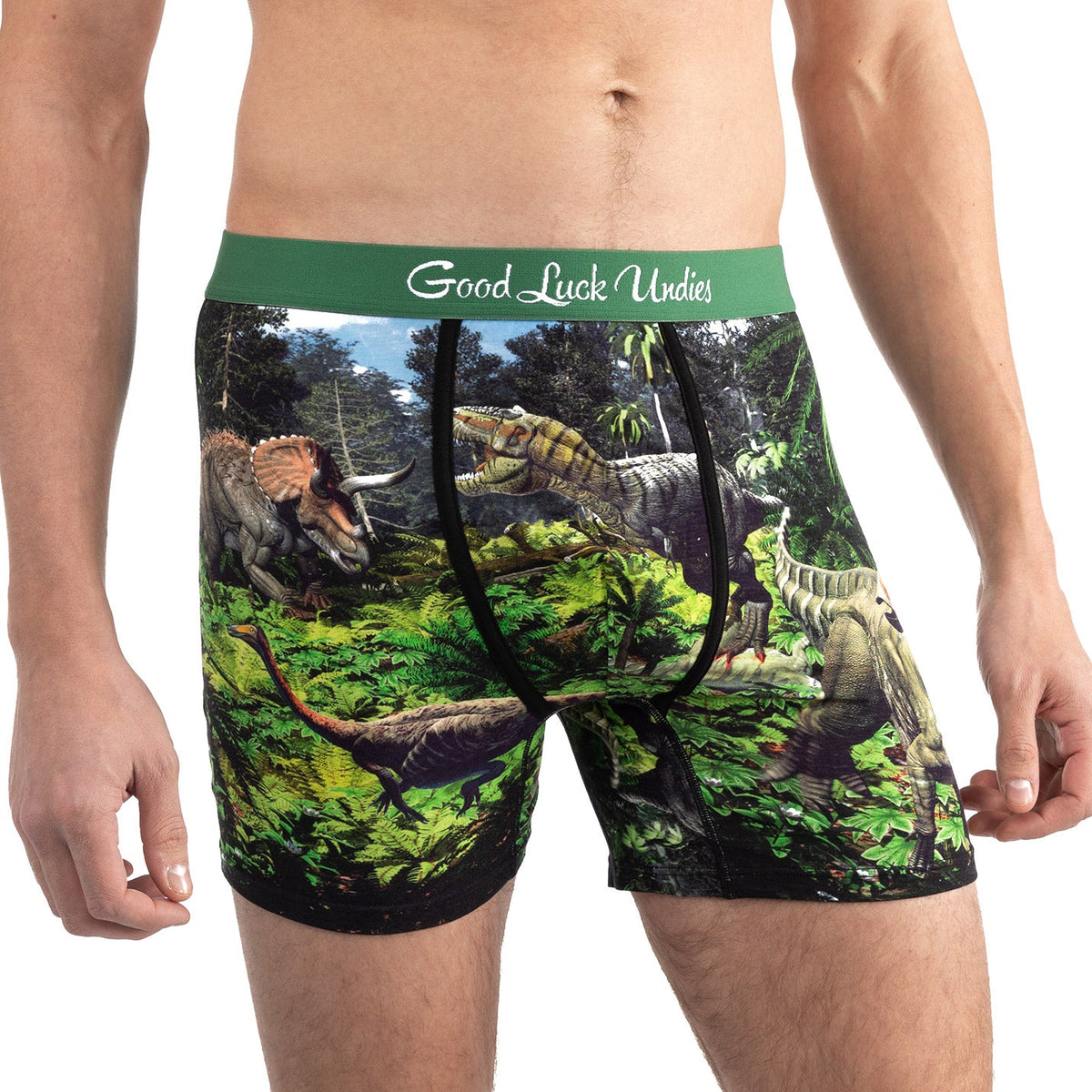 Men's Dinosaur Valley Underwear