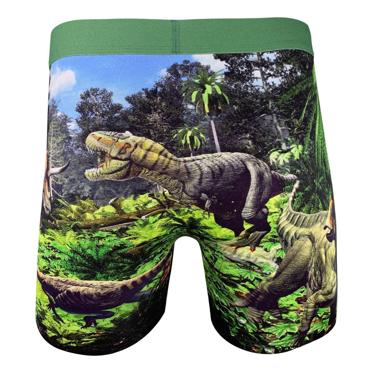 Men's Dinosaur Valley Underwear