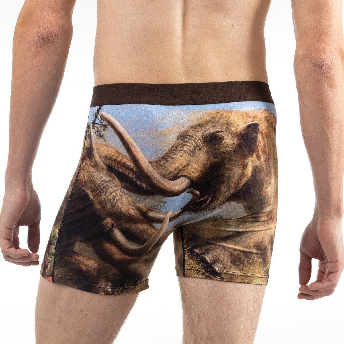 Men's Mammoths Fighting Underwear