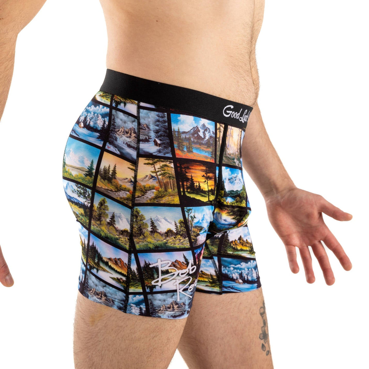 Men's Bob Ross, Landscapes Collage Underwear