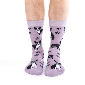 Men's Boston Terrier Socks