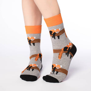 Women's Red Panda Socks