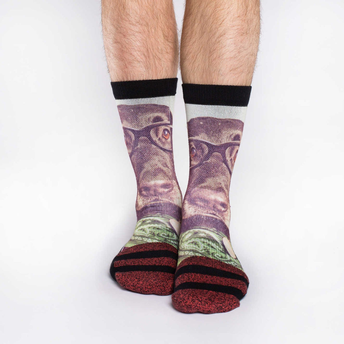Men's Hipster Dog Socks