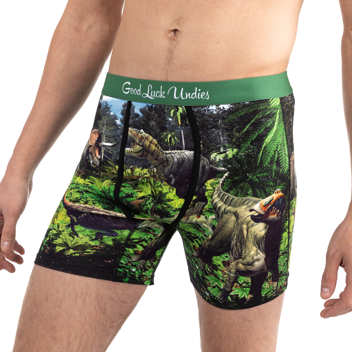 Dinosaur Underwear 