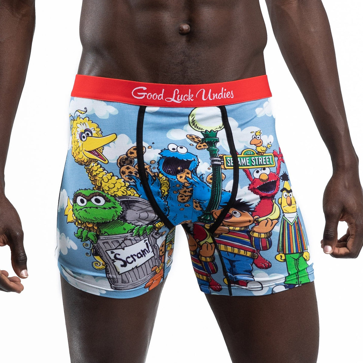 Men's Sesame Street, Family Underwear