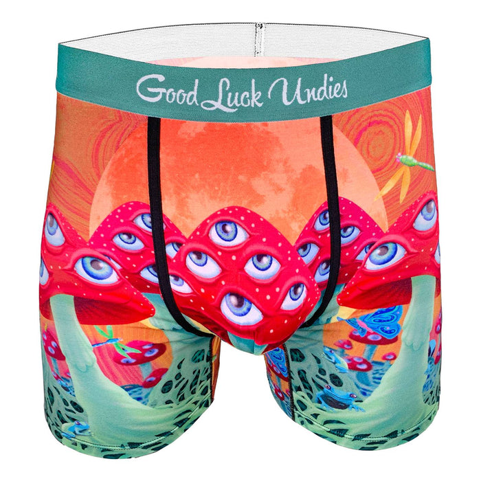  Good Luck Undies Men's Rick and Morty, Mr. Meeseeks Boxer Brief  Underwear, Small : Clothing, Shoes & Jewelry