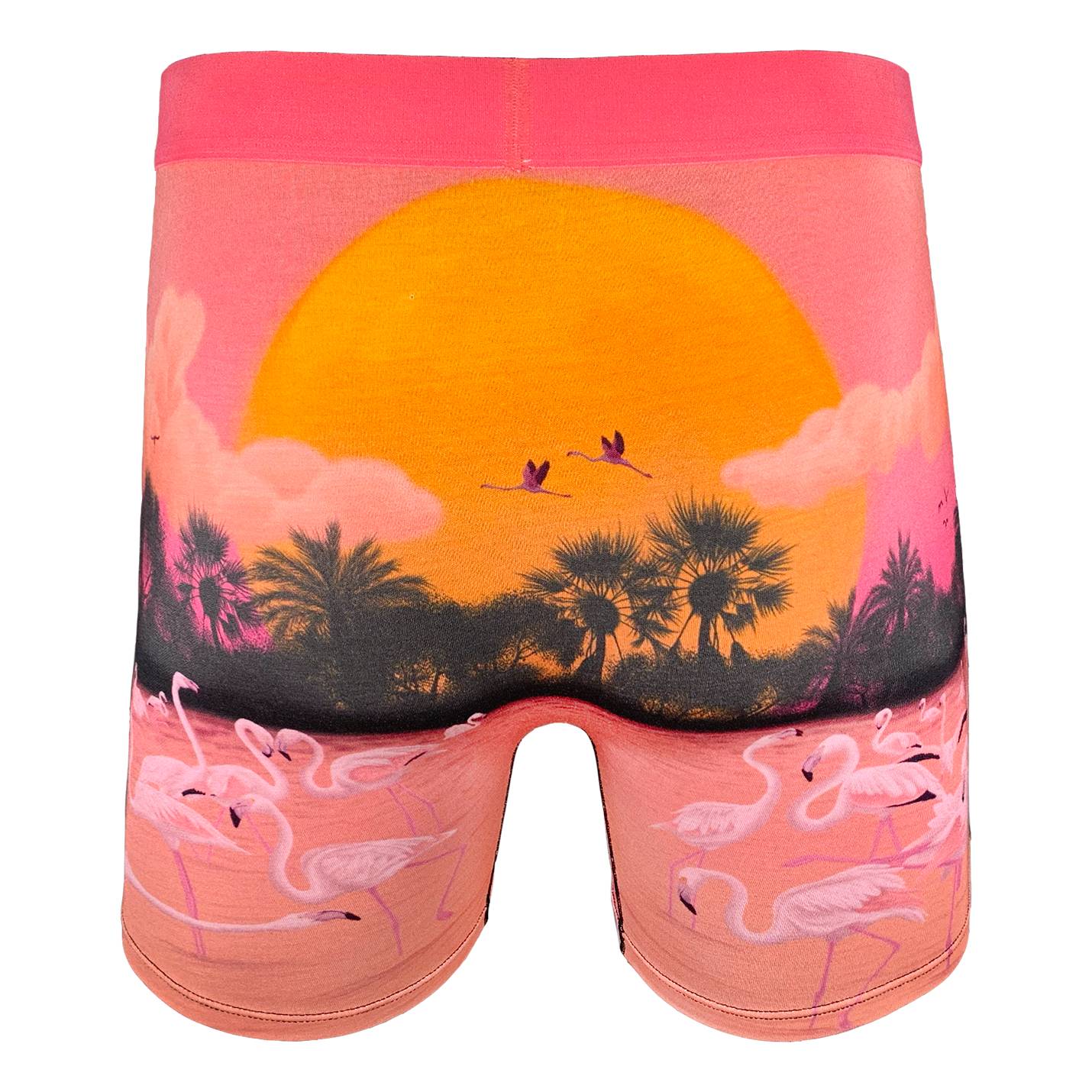 Men's Flamingo Paradise Underwear – Good Luck Sock