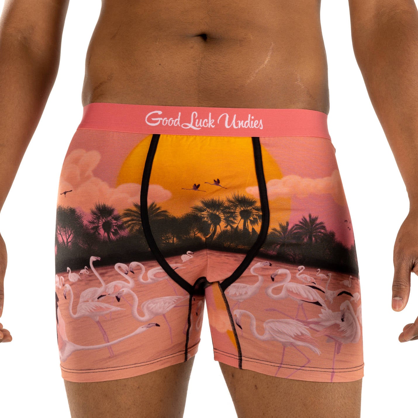 JHKKU Men's Pink Flamingos Underwear Fashion Soft Comfort